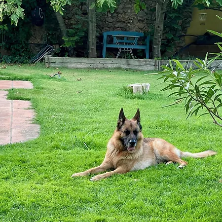펜션 Santa Caterina - Dog Friendly With Garden *